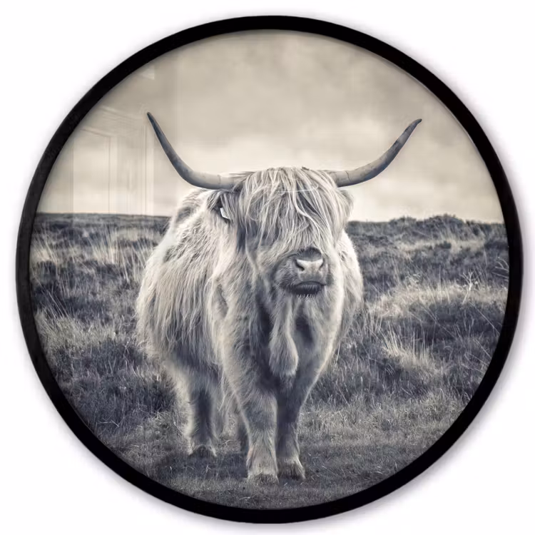 Schotse hooglander - Dieren - Wolken - Koe - Natuur Fotolijst rond zonder passe partout klein -3d