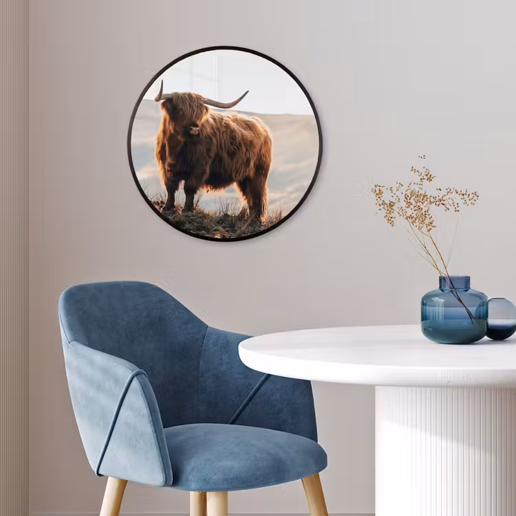 Schotse hooglander - Dieren - Landelijk - Landschap - Koe - Natuur Fotolijst rond zonder passe partout klein -sfeer2