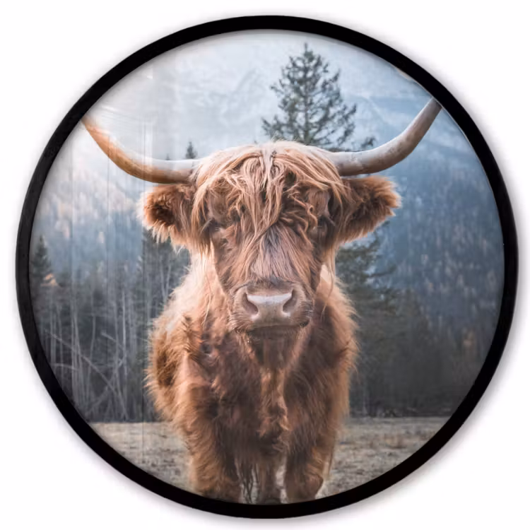 Schotse hooglander - Koe - Dieren - Berg - Natuur Fotolijst rond zonder passe partout klein -3d