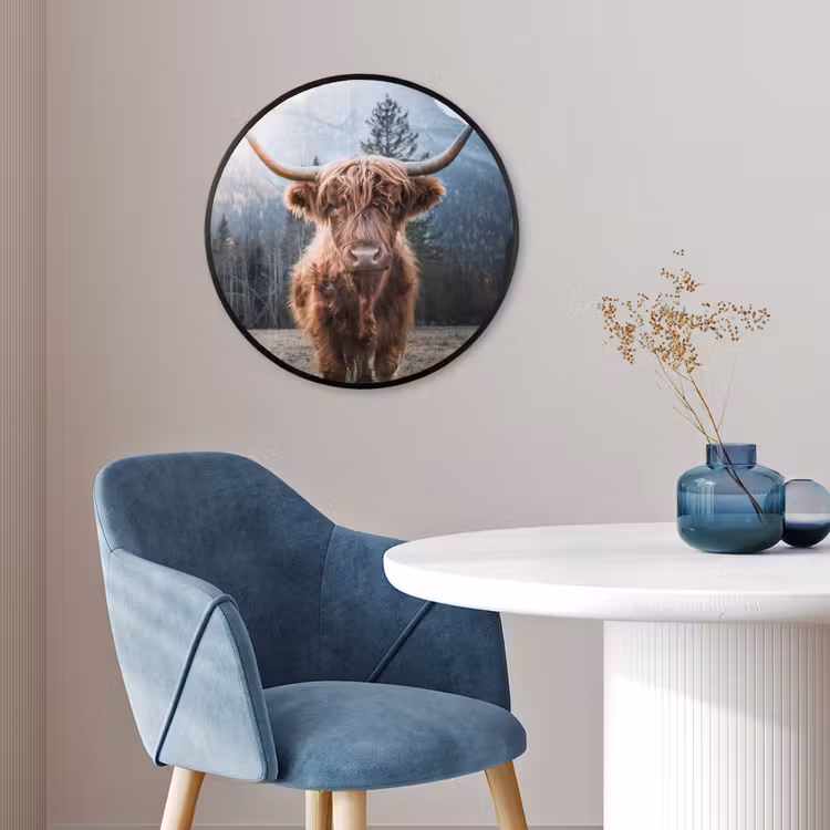Schotse hooglander - Koe - Dieren - Berg - Natuur Fotolijst rond zonder passe partout klein -sfeer2