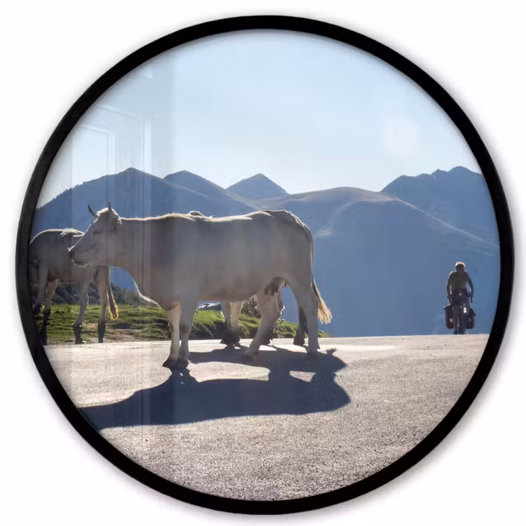 Schotse hooglander - Licht - Berg - Natuur Fotolijst rond zonder passe partout klein -3d