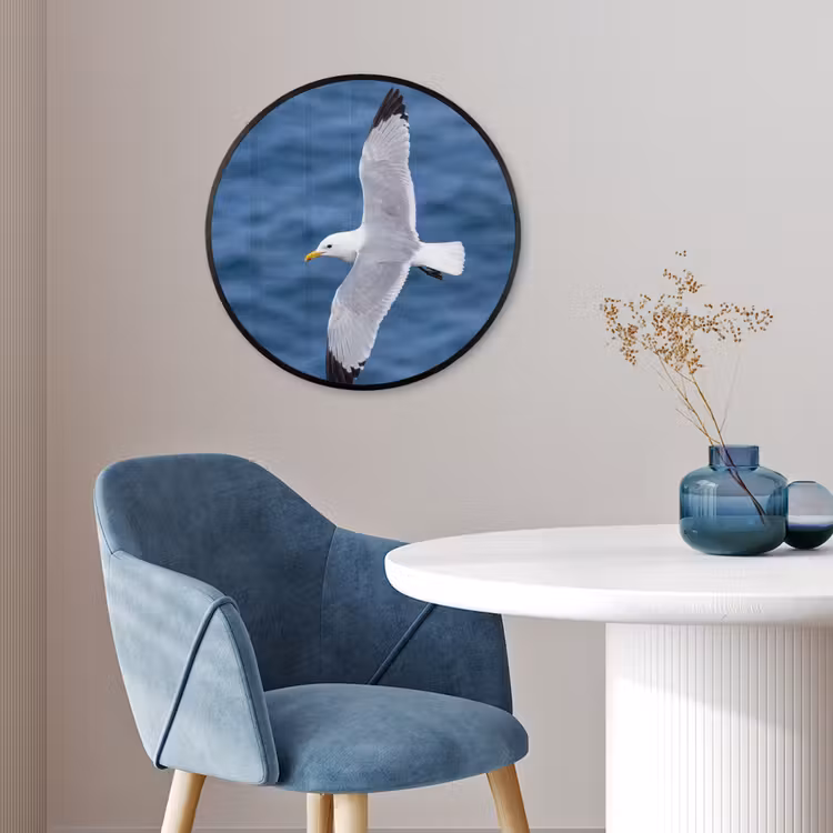Zeemeeuw - Oceaan - Blauw Fotolijst rond zonder passe partout klein -sfeer2
