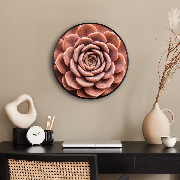 Vetplant - Organisch - Roze Fotolijst rond zonder passe partout klein -sfeer1