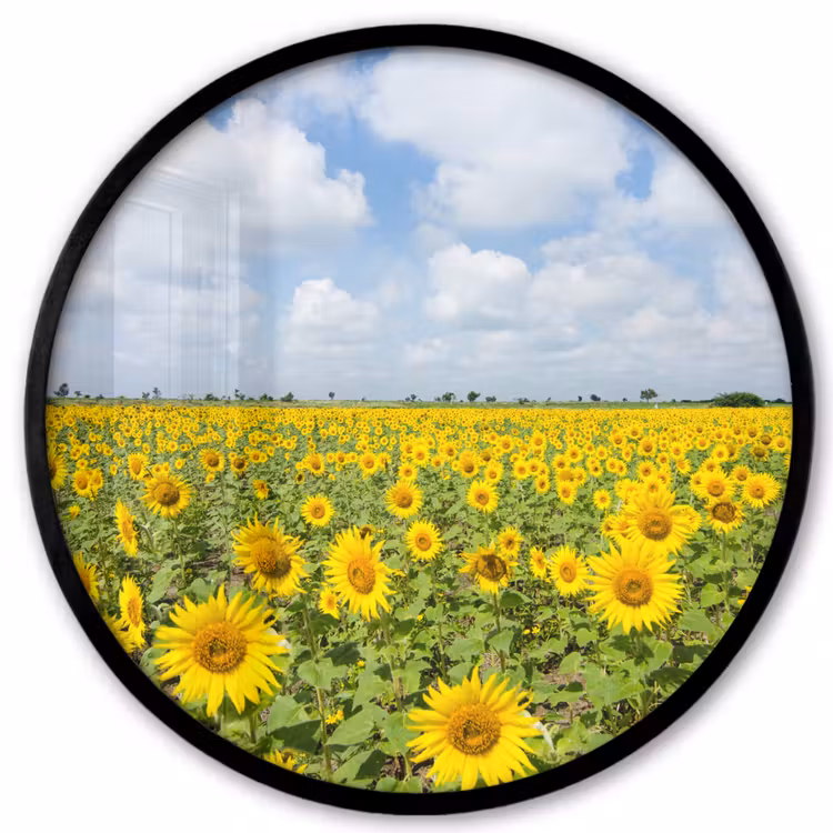 Zonnebloemen - Bloemen - Wolken - Natuur - Geel - Landschap Fotolijst rond zonder passe partout klein -3d