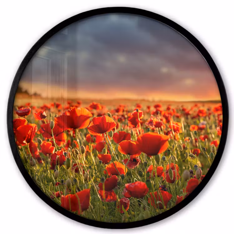 Zonsondergang - Klaprozen - Rood - Bloemen - Veld - Natuur Fotolijst rond zonder passe partout klein -3d