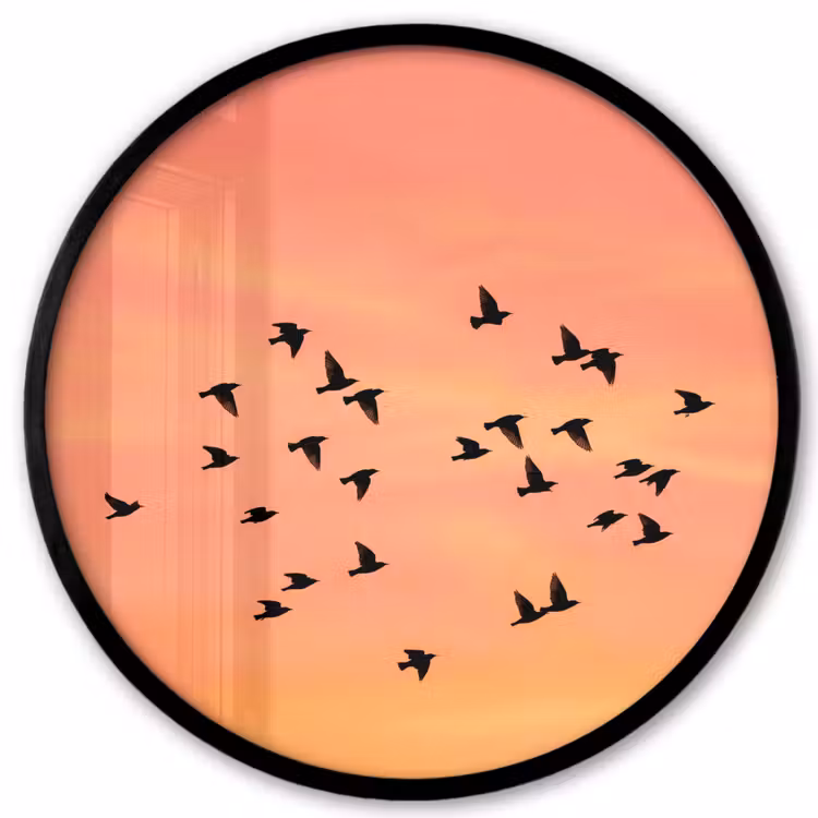 Zwerm - Vogels - Oranje Fotolijst rond zonder passe partout klein -3d