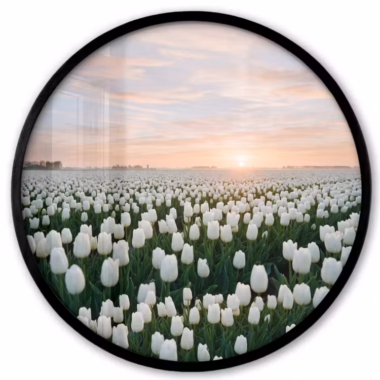 Tulpen - Landschap - Wit Fotolijst rond zonder passe partout klein -3d