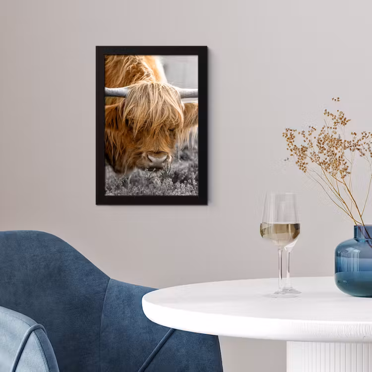 Schotse Hooglander - Dieren - Bruin - Koe - Zwart - Wit - Natuur fotolijst zwart zonder passe partout klein -sfeer4