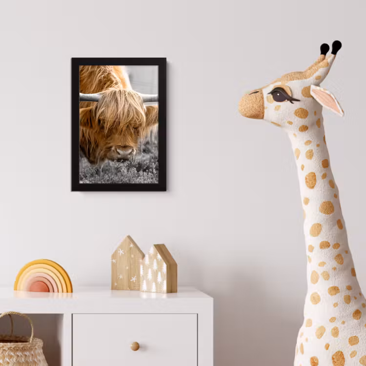 Schotse Hooglander - Dieren - Bruin - Koe - Zwart - Wit - Natuur fotolijst zwart zonder passe partout klein -usfeer4_kinderkamer