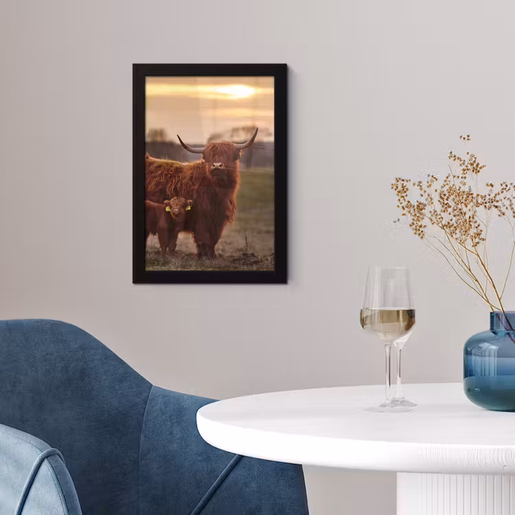 Schotse hooglander - Dieren - Landschap - Zonsondergang - Koe fotolijst zwart zonder passe partout klein -sfeer4