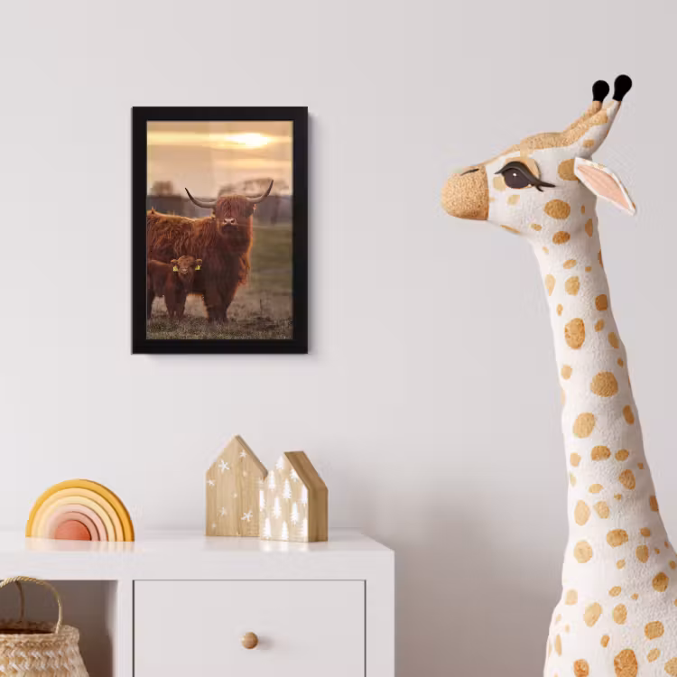 Schotse hooglander - Dieren - Landschap - Zonsondergang - Koe fotolijst zwart zonder passe partout klein -usfeer4_kinderkamer