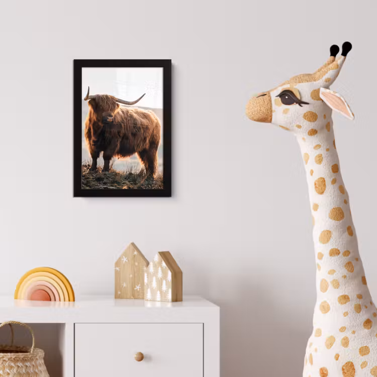 Schotse hooglander - Dieren - Landelijk - Landschap - Koe - Natuur fotolijst zwart zonder passe partout klein -usfeer4_kinderkamer