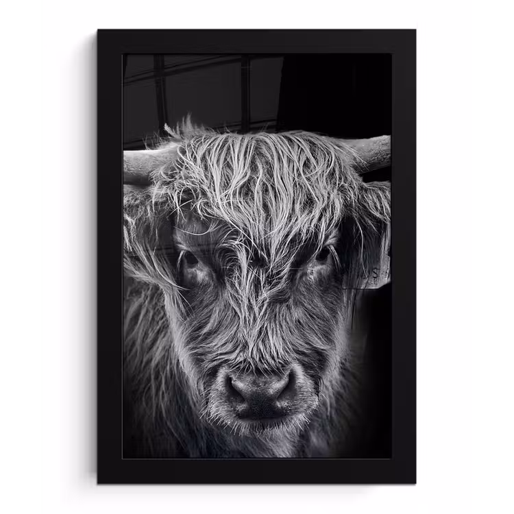 Schotse hooglander - Zwart - Koe - Dieren fotolijst zwart zonder passe partout klein -3d