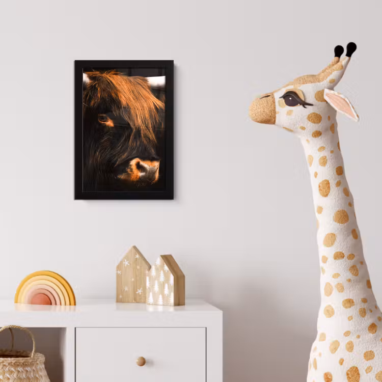Schotse hooglander - Zwart - Koe - Hoorn - Dieren fotolijst zwart zonder passe partout klein -usfeer4_kinderkamer