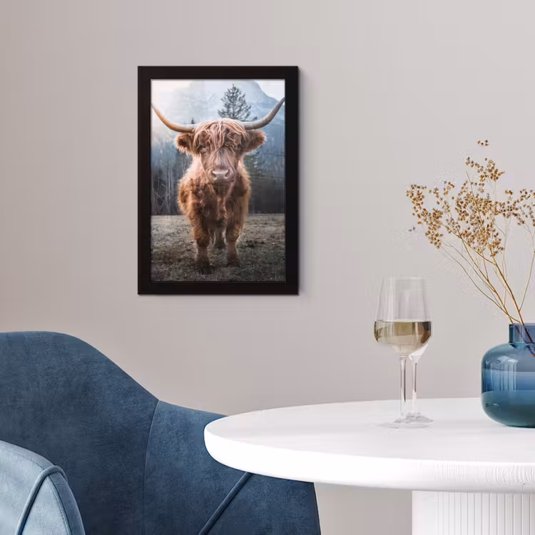 Schotse hooglander - Koe - Dieren - Berg - Natuur fotolijst zwart zonder passe partout klein -sfeer4