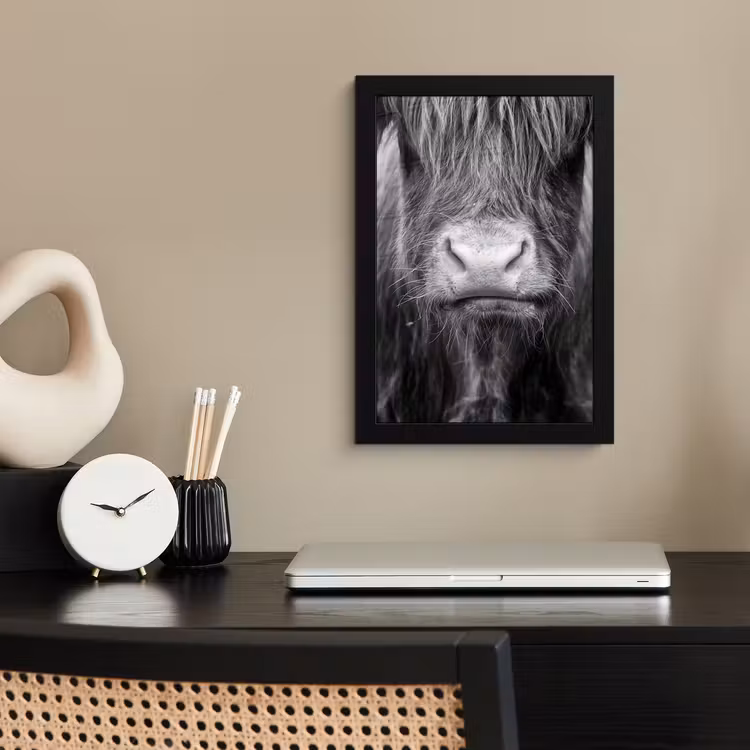 Schotse hooglander - Koe - Zwart - Wit - Dieren fotolijst zwart zonder passe partout klein -sfeer1