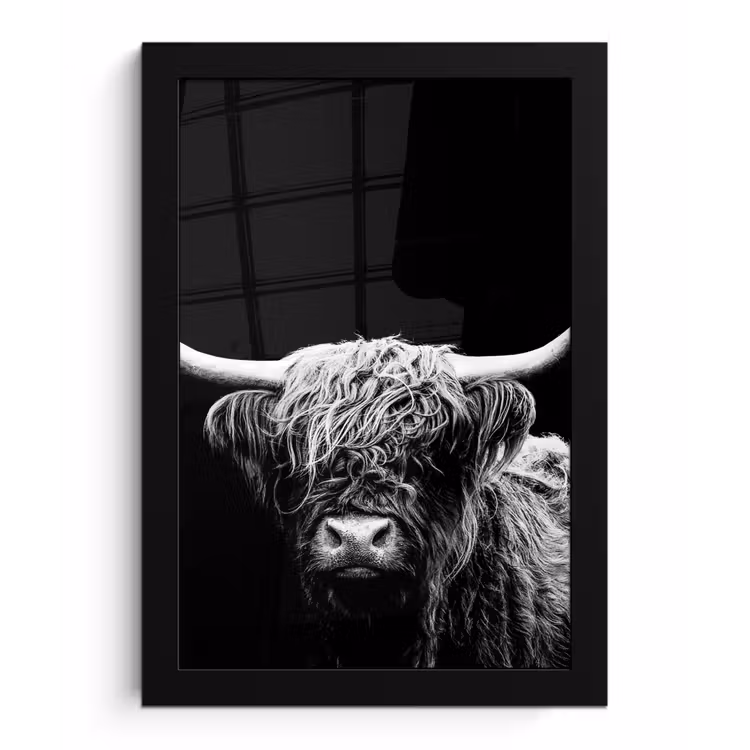 Schotse Hooglander - Koe - Zwart - Wit - Dieren fotolijst zwart zonder passe partout klein -3d