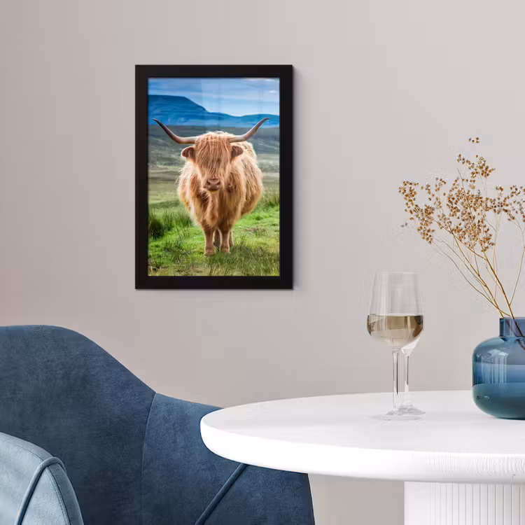 Schotse hooglander - Koe - Natuur - Berg - Gras fotolijst zwart zonder passe partout klein -sfeer4