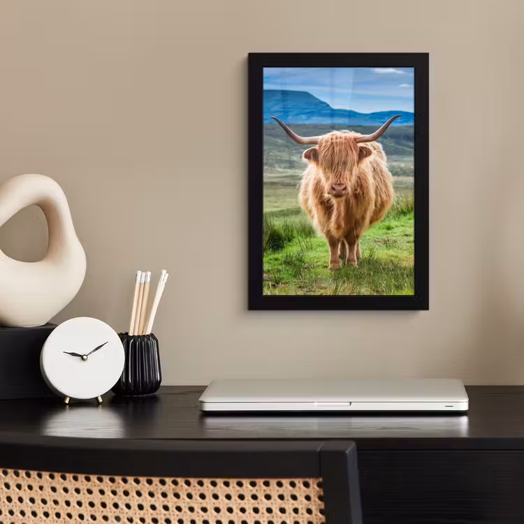 Schotse hooglander - Koe - Natuur - Berg - Gras fotolijst zwart zonder passe partout klein -sfeer1