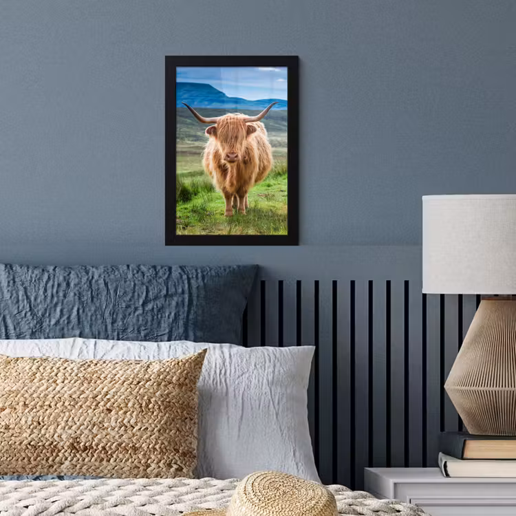 Schotse hooglander - Koe - Natuur - Berg - Gras fotolijst zwart zonder passe partout klein -sfeer3