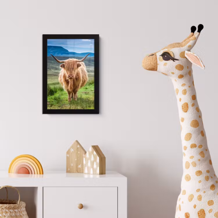 Schotse hooglander - Koe - Natuur - Berg - Gras fotolijst zwart zonder passe partout klein -usfeer4_kinderkamer