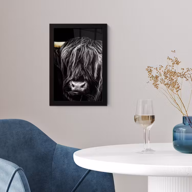 Schotse hooglander - Goud - Vacht - Dieren - Koe fotolijst zwart zonder passe partout klein -sfeer4