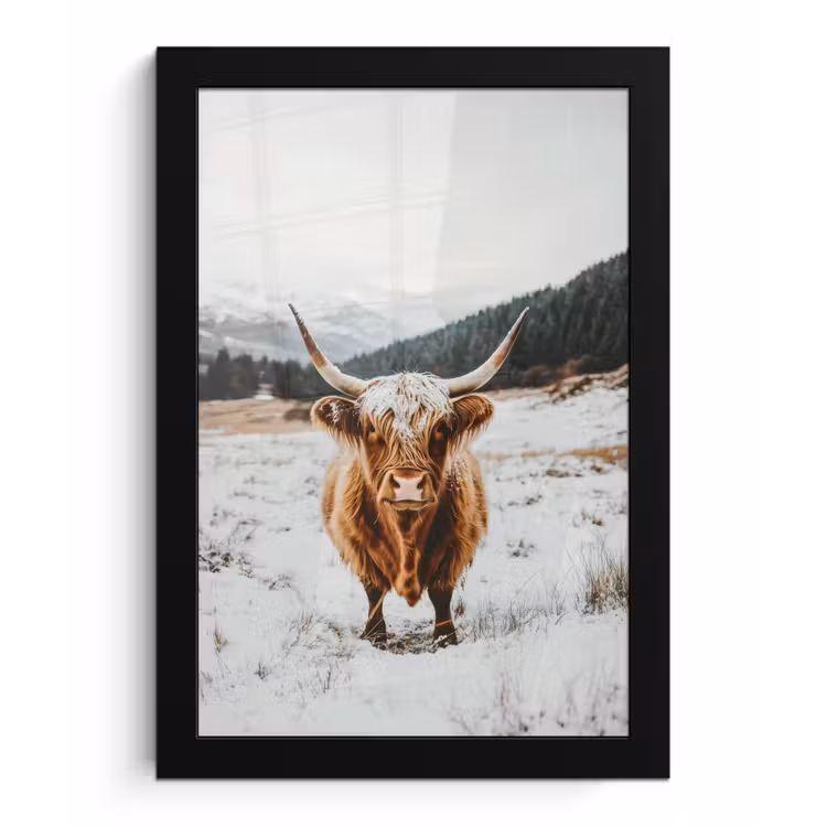 Schotse Hooglander - Landschap - Sneeuw - Bergen - Winter fotolijst zwart zonder passe partout klein -3d