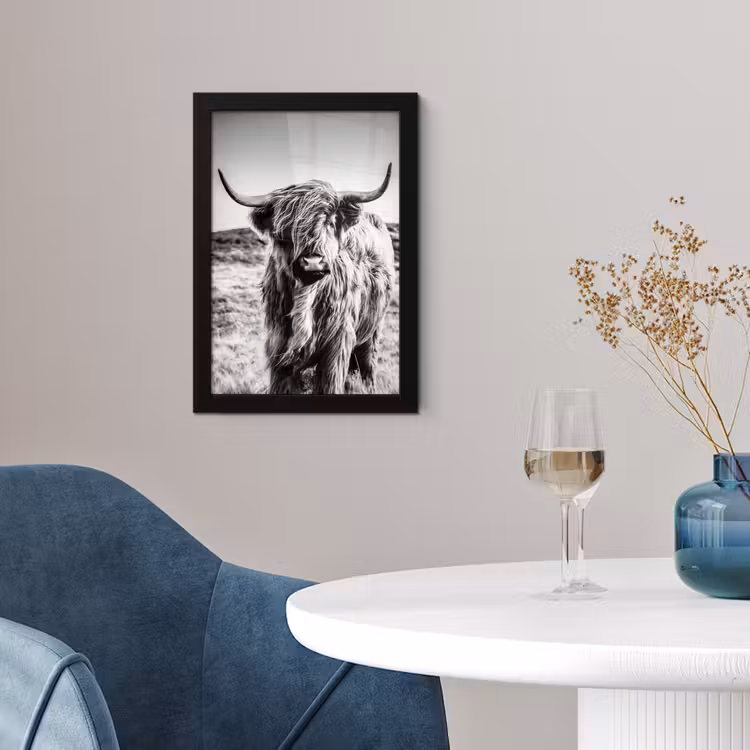 Schotse hooglander - Natuur - Koe - Zwart - Wit fotolijst zwart zonder passe partout klein -sfeer4