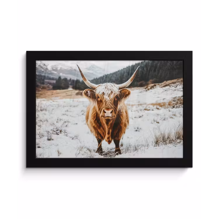 Schotse Hooglander - Sneeuw - Winter - Dieren fotolijst zwart zonder passe partout klein -3d