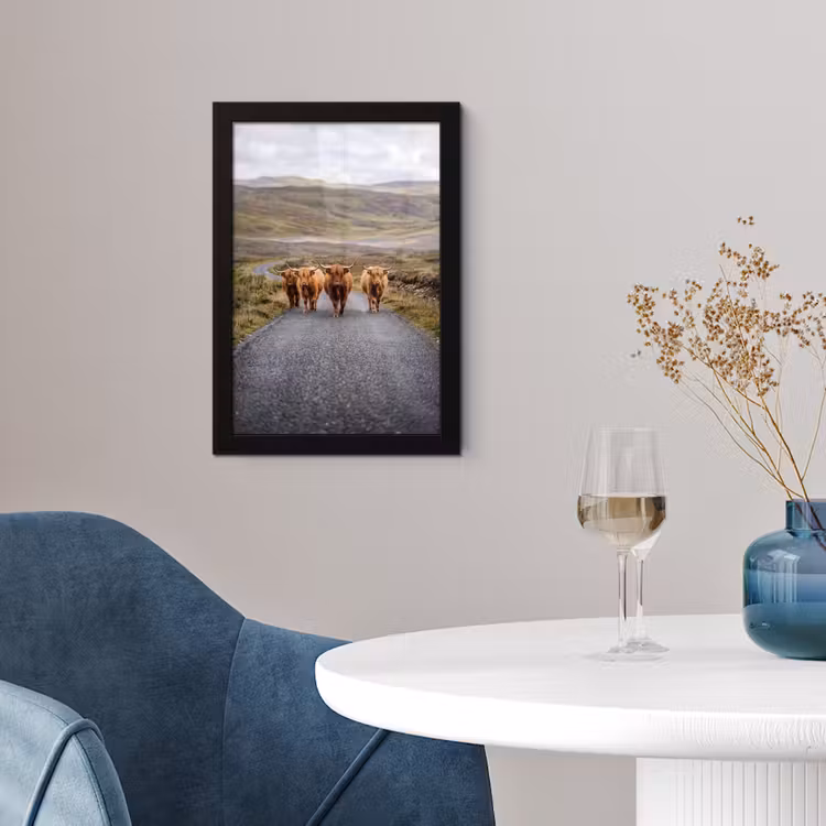 Schotse Hooglanders - Weg - Landschap - Kudde fotolijst zwart zonder passe partout klein -sfeer4