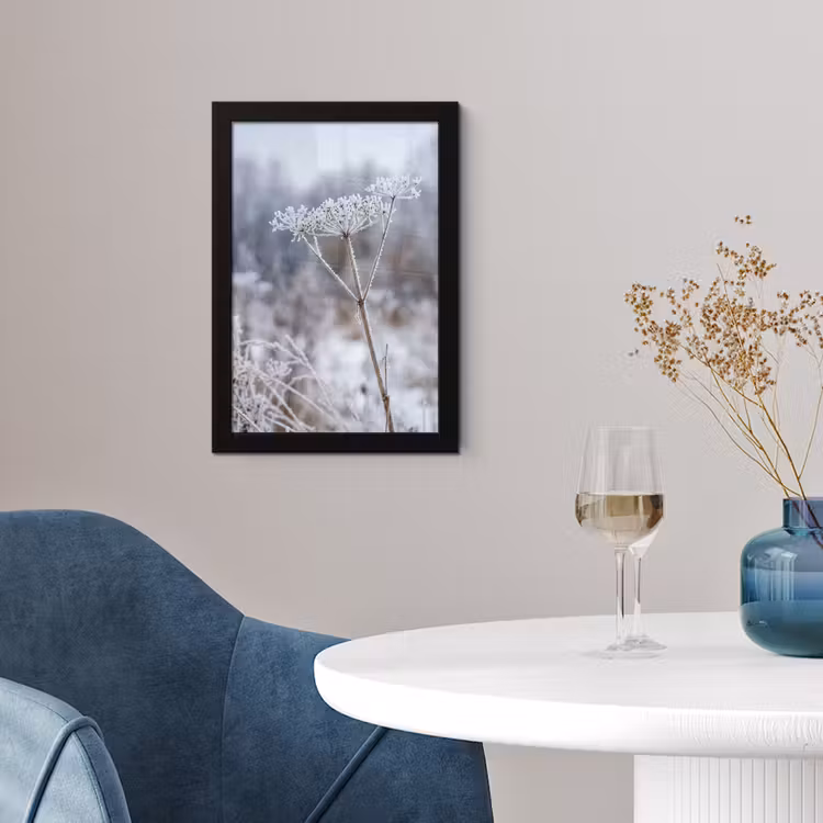 Schermbloem - Rijp - Kristallen - Winter - Delicaat fotolijst zwart zonder passe partout klein -sfeer4