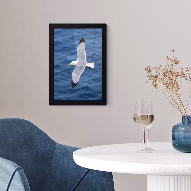 Zeemeeuw - Oceaan - Blauw fotolijst zwart zonder passe partout klein -sfeer4