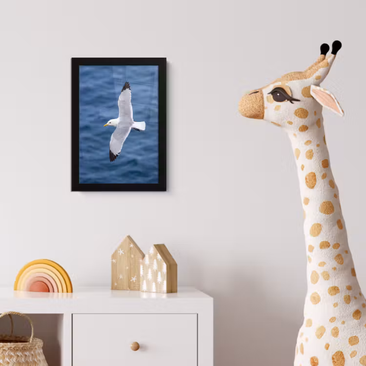 Zeemeeuw - Oceaan - Blauw fotolijst zwart zonder passe partout klein -usfeer4_kinderkamer