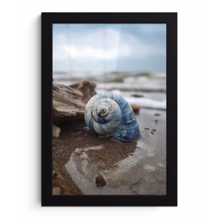 Schelp - Strand - Blauw - Zee fotolijst zwart zonder passe partout klein -3d