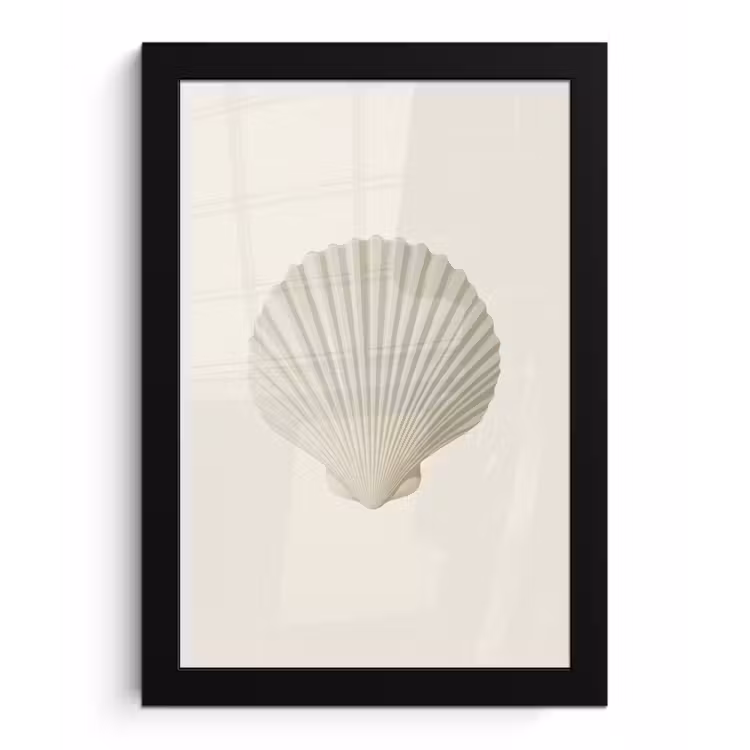 Schelp - Minimalistisch - Wit fotolijst zwart zonder passe partout klein -3d