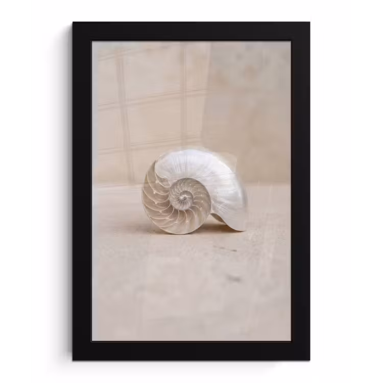 Schelp - Spiraal - Beige fotolijst zwart zonder passe partout klein -3d