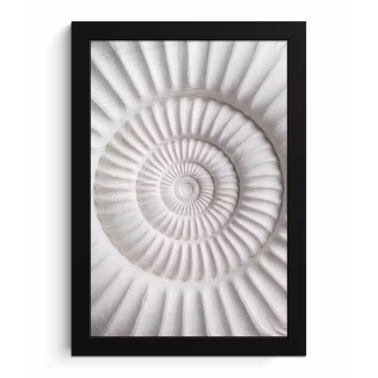 Schelp - Spiraal - Wit fotolijst zwart zonder passe partout klein -3d