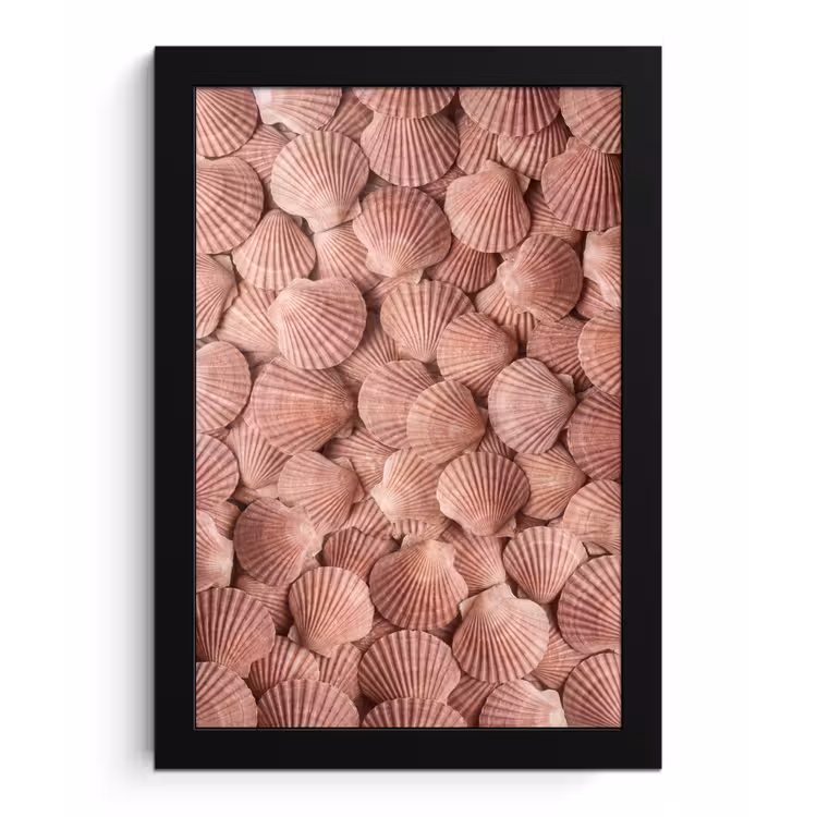 Schelpen - Patroon - Roze fotolijst zwart zonder passe partout klein -3d