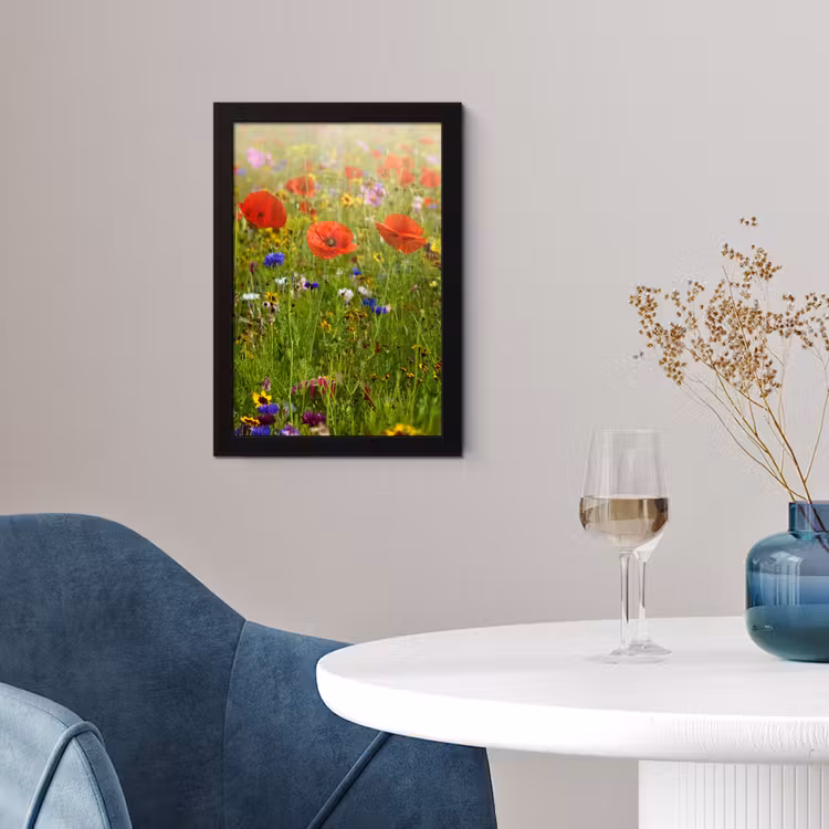 Lente - Bloemen - Rood - Klaproos - Gras - Groen fotolijst zwart zonder passe partout klein -sfeer4
