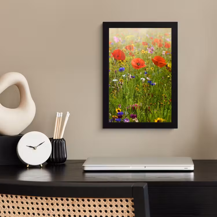 Lente - Bloemen - Rood - Klaproos - Gras - Groen fotolijst zwart zonder passe partout klein -sfeer1