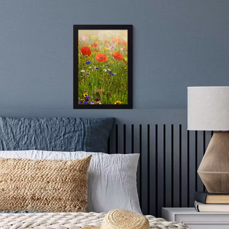 Lente - Bloemen - Rood - Klaproos - Gras - Groen fotolijst zwart zonder passe partout klein -sfeer3