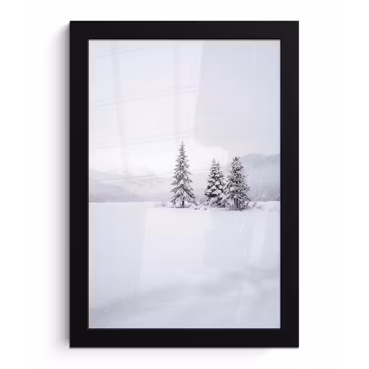 Fijnsparren - Sneeuw - Winter - Landschap - Stilte fotolijst zwart zonder passe partout klein -3d