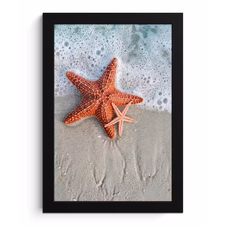 Zeester - Strand - Zee fotolijst zwart zonder passe partout klein -3d