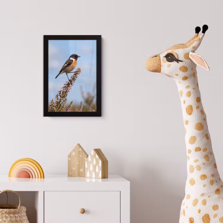 Roodborsttapuit - Heide - Paars - Natuur - Sfeervol fotolijst zwart zonder passe partout klein -usfeer4_kinderkamer