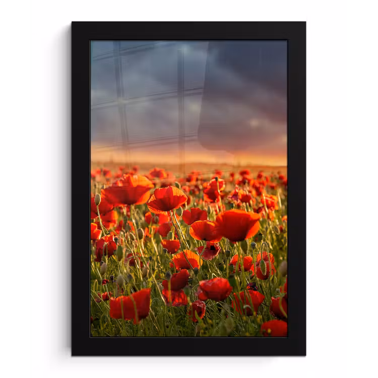 Zonsondergang - Klaprozen - Rood - Bloemen - Veld - Natuur fotolijst zwart zonder passe partout klein -3d