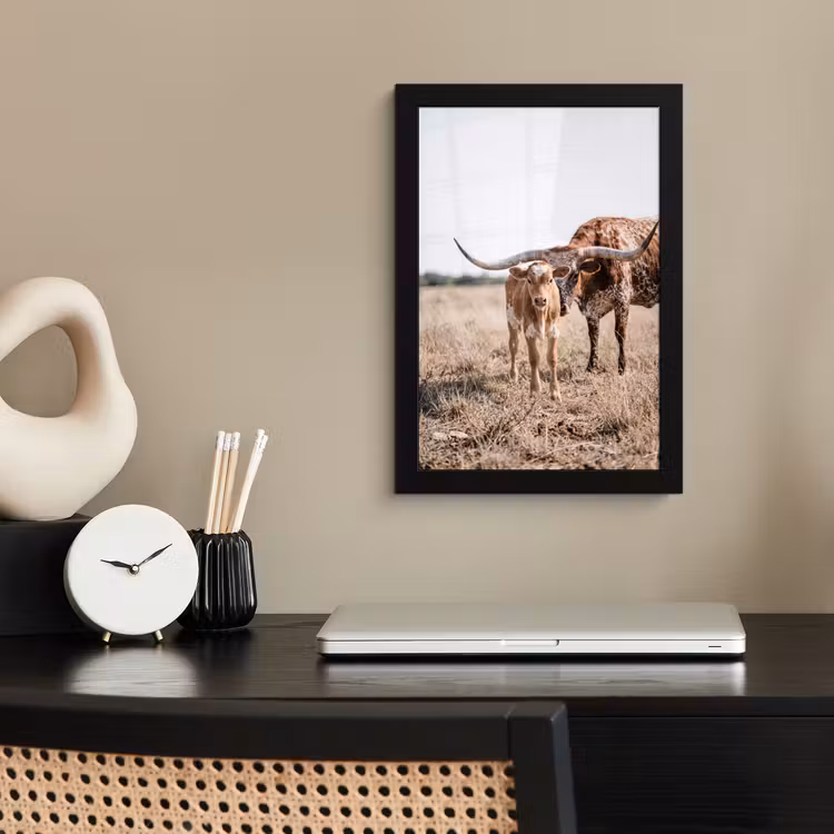 Texas Longhorn - Kalf - Weide - Dieren fotolijst zwart zonder passe partout klein -sfeer1
