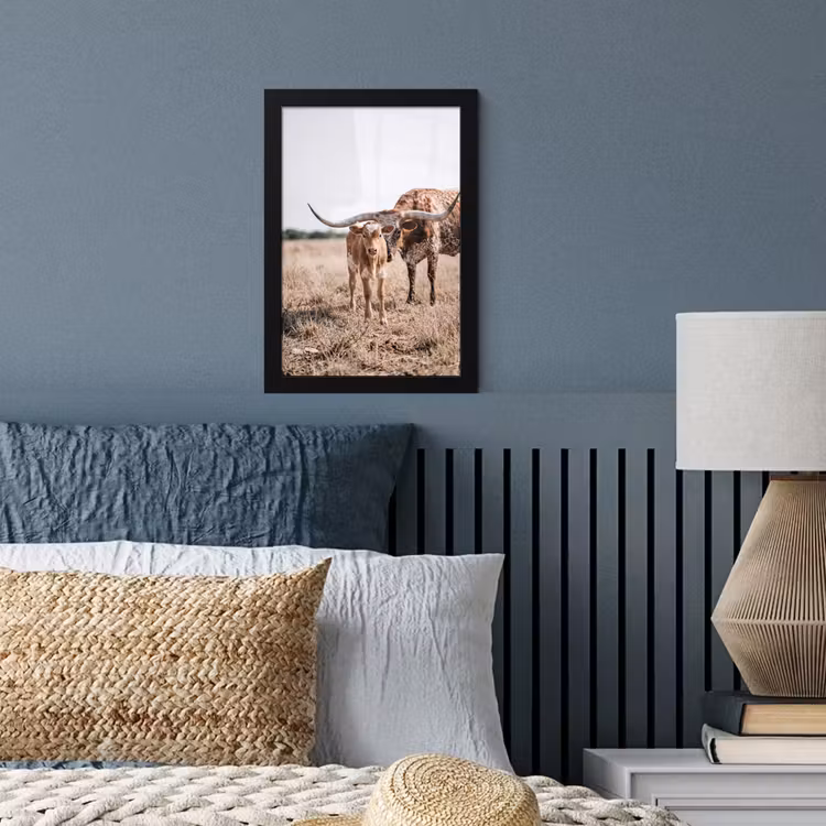 Texas Longhorn - Kalf - Weide - Dieren fotolijst zwart zonder passe partout klein -sfeer3