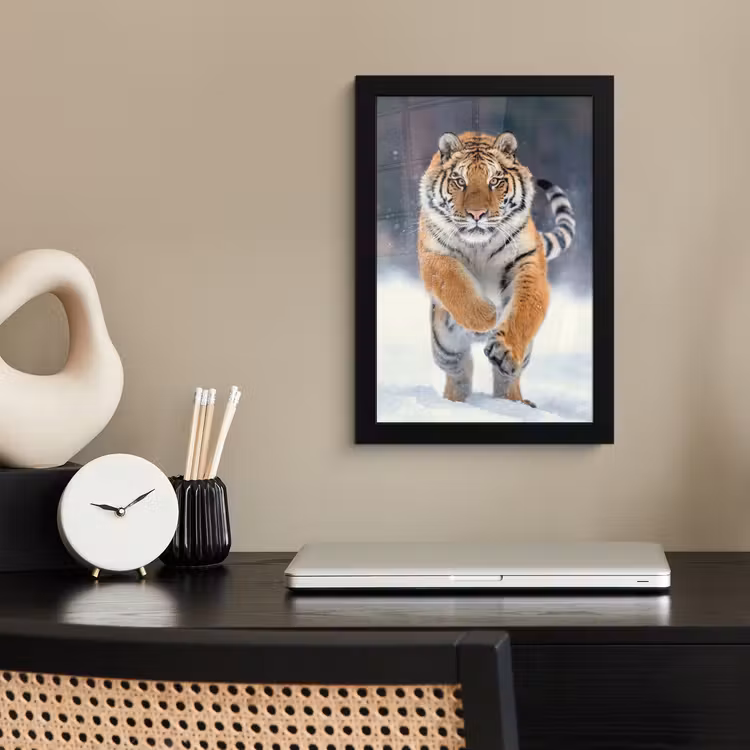 Tijger - Landschap - Sneeuw - Winter - Dieren fotolijst zwart zonder passe partout klein -sfeer1