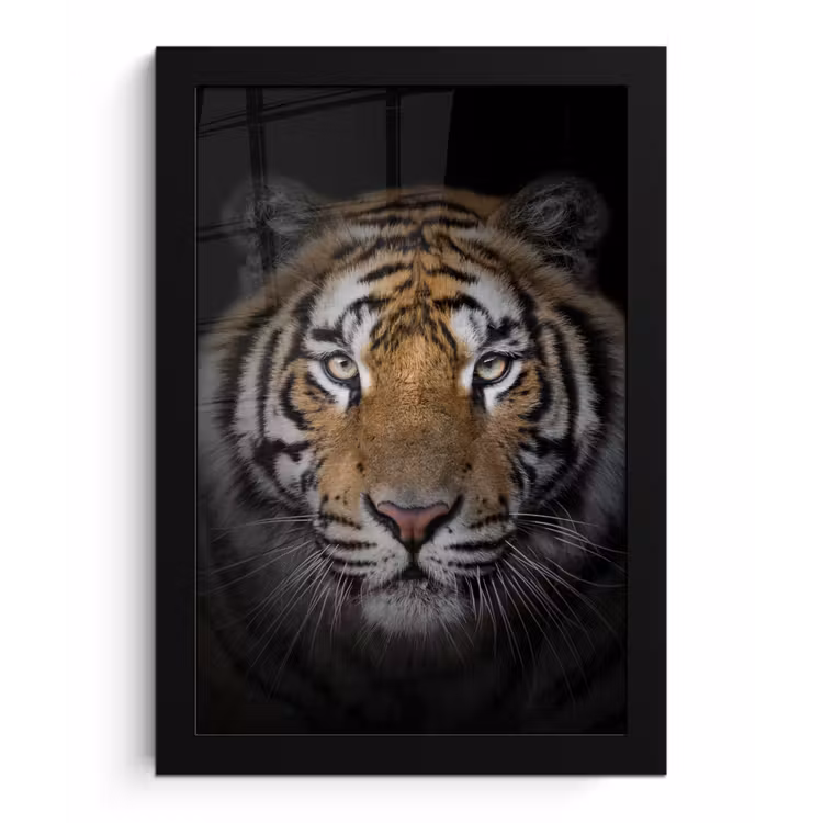 Tijger - Wilde dieren - Portret - Zwart - Dieren fotolijst zwart zonder passe partout klein -3d