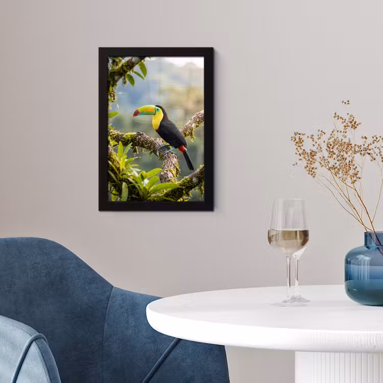 Toekan - Jungle - Natuur - Kleurrijk fotolijst zwart zonder passe partout klein -sfeer4